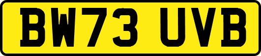 BW73UVB