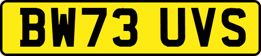 BW73UVS