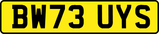 BW73UYS