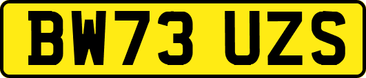 BW73UZS