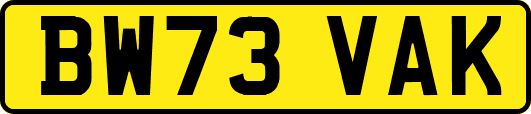 BW73VAK