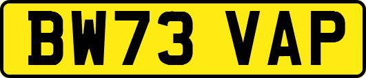 BW73VAP