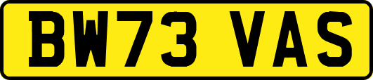BW73VAS