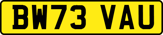 BW73VAU