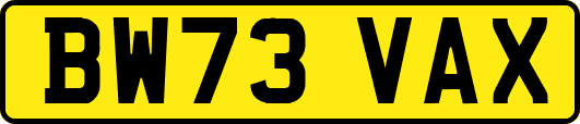 BW73VAX