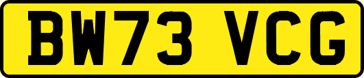 BW73VCG