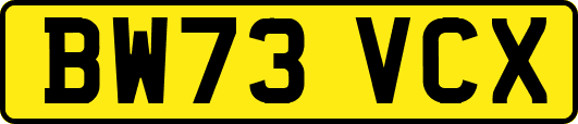 BW73VCX