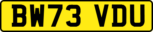 BW73VDU