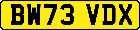 BW73VDX