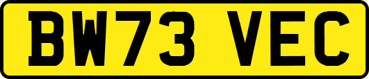 BW73VEC