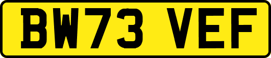 BW73VEF