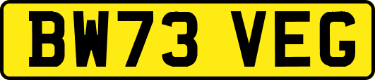 BW73VEG