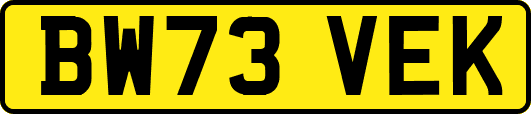 BW73VEK