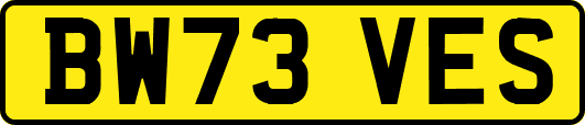 BW73VES