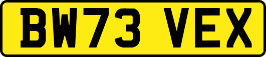 BW73VEX