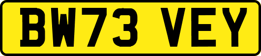BW73VEY
