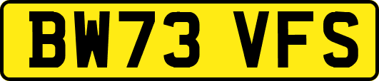 BW73VFS