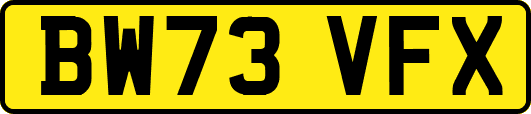 BW73VFX