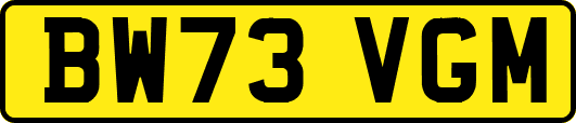 BW73VGM