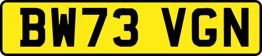 BW73VGN