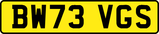 BW73VGS