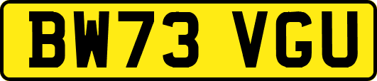 BW73VGU