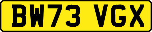 BW73VGX