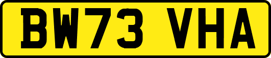 BW73VHA