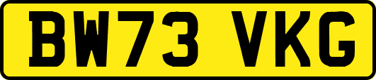 BW73VKG