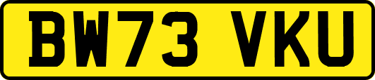BW73VKU