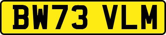 BW73VLM