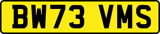 BW73VMS