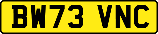 BW73VNC