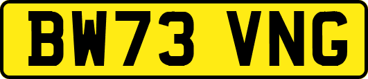 BW73VNG