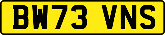 BW73VNS