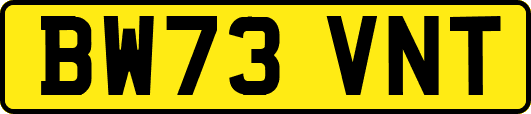 BW73VNT
