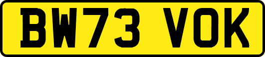 BW73VOK