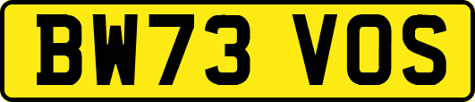 BW73VOS