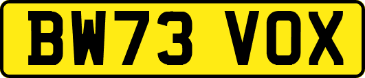BW73VOX