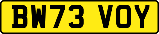 BW73VOY