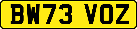 BW73VOZ
