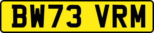 BW73VRM