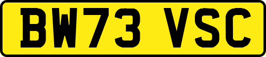 BW73VSC
