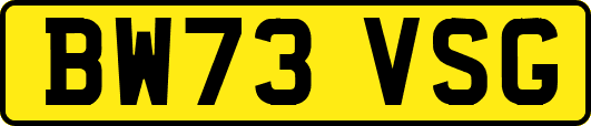 BW73VSG