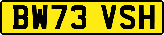 BW73VSH