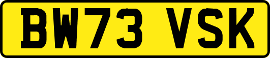 BW73VSK