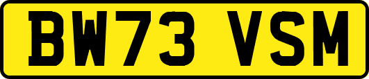 BW73VSM