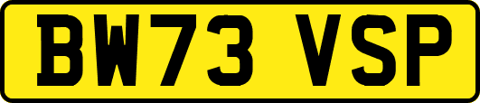 BW73VSP