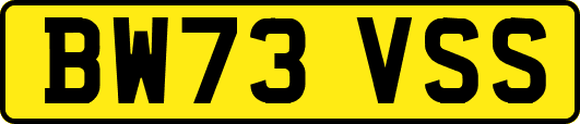 BW73VSS