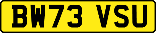 BW73VSU